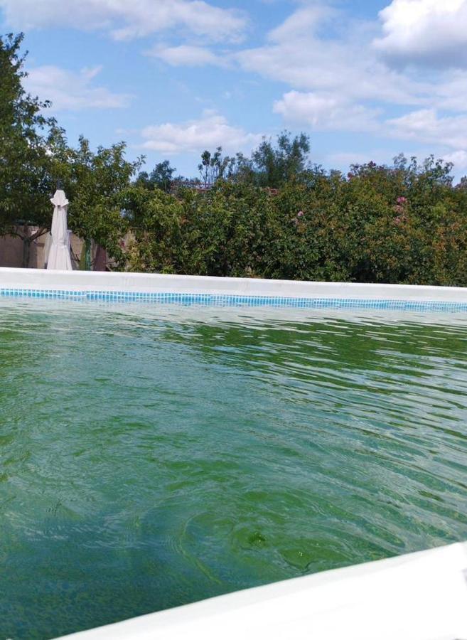 Hotel Baza Otdyha Primor'E Primorskoye Esterno foto