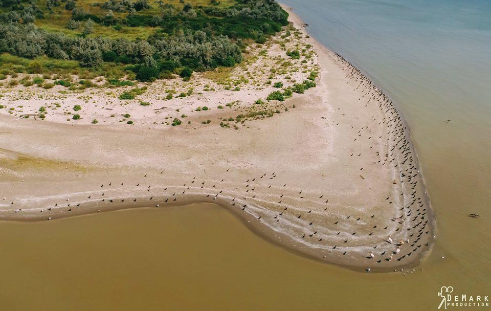 Hotel Baza Otdyha Primor'E Primorskoye Esterno foto
